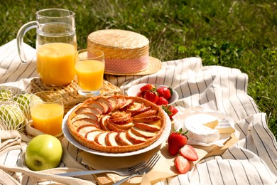 Blanket with different products on green grass. Summer picnic