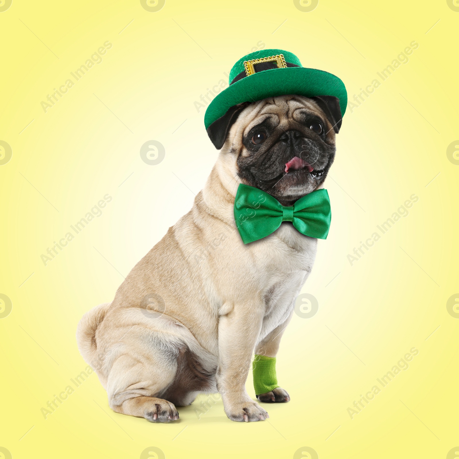 Image of St. Patrick's day celebration. Cute pug dog with green bow tie and leprechaun hat on yellow background