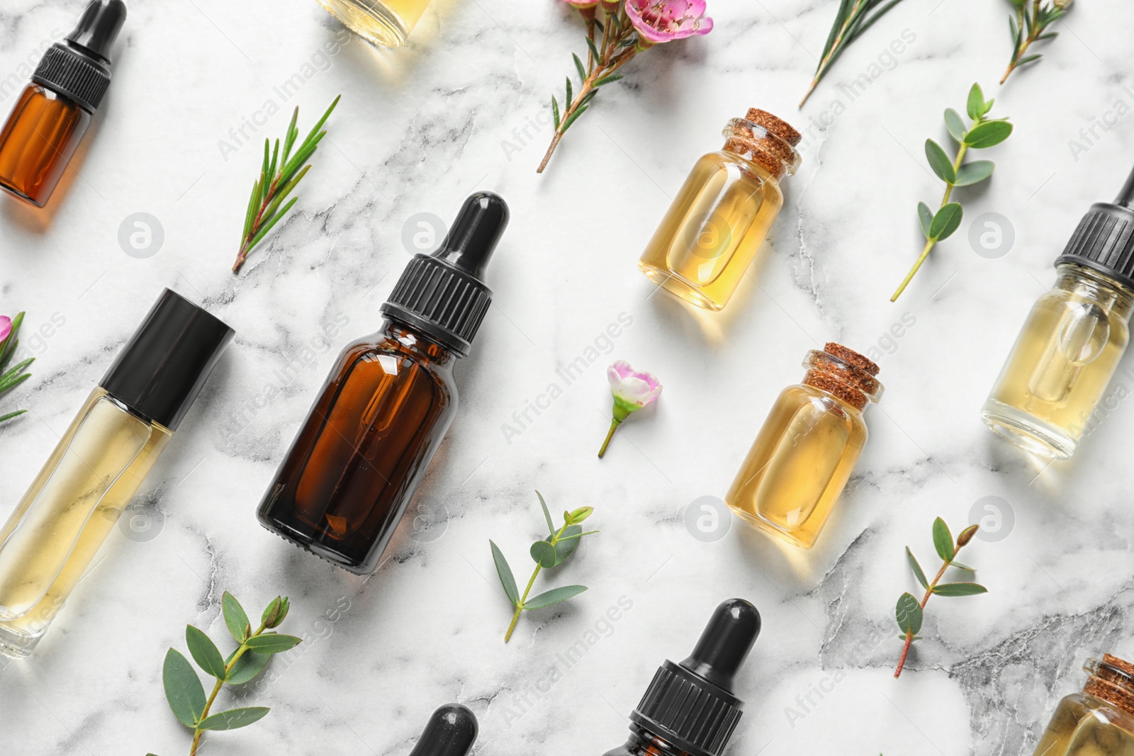 Photo of Flat lay composition with bottles of natural tea tree oil on white marble background