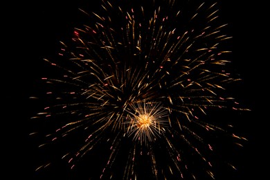 Image of Beautiful bright fireworks lighting up night sky