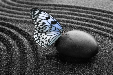 Beautiful butterfly and stone on black sand with pattern. Zen concept