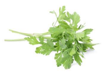 Photo of Sprigs of fresh green parsley leaves isolated on white