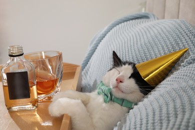 Photo of Cute cat wearing birthday hat near tray with whiskey at home. After party hangover