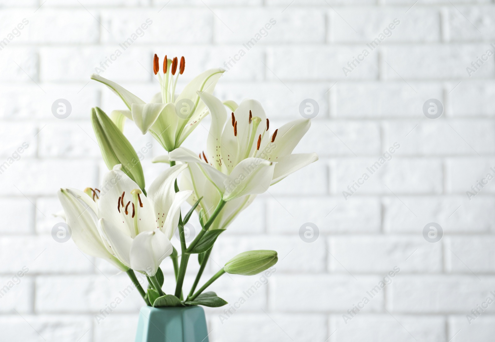 Photo of Vase of beautiful lilies against white brick wall, space for text