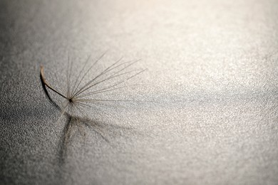 Seed of dandelion flower on grey background, space for text