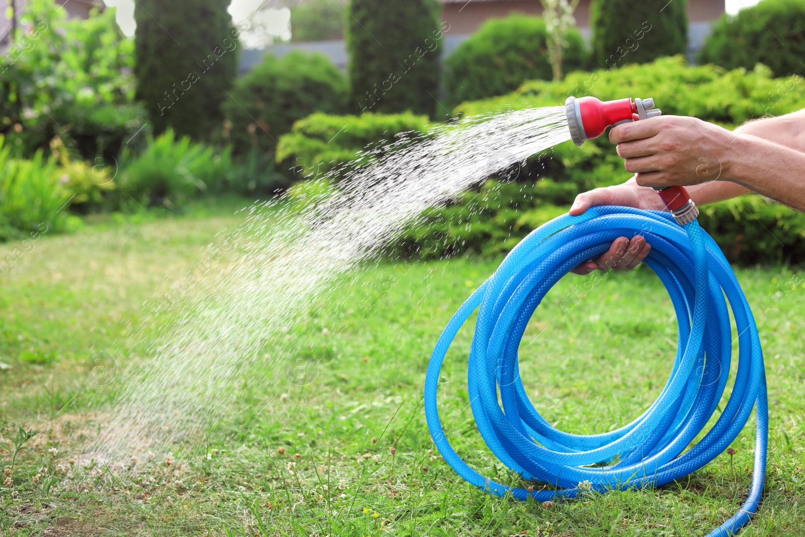 Photo of Man watering green grass in garden, closeup