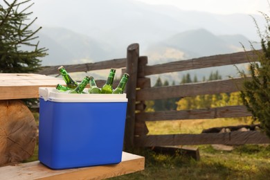 Cool box with bottles of beer on bench outdoors