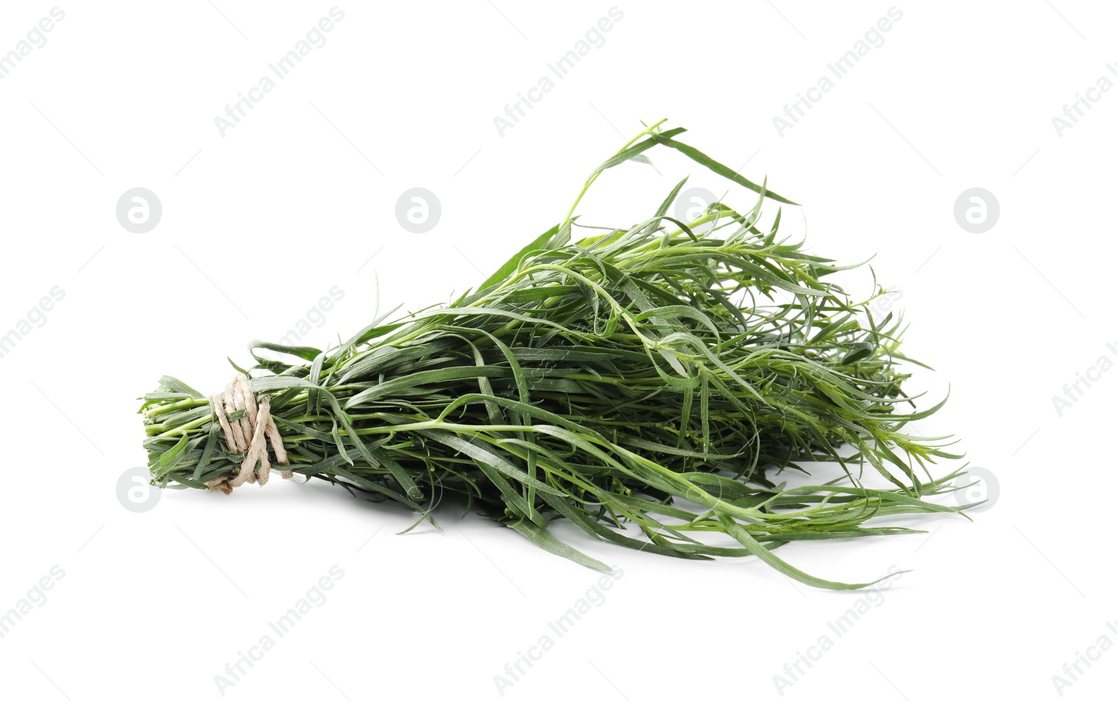 Photo of Bunch of fresh tarragon on white background