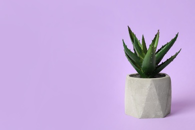 Beautiful artificial plant in flower pot on violet background, space for text