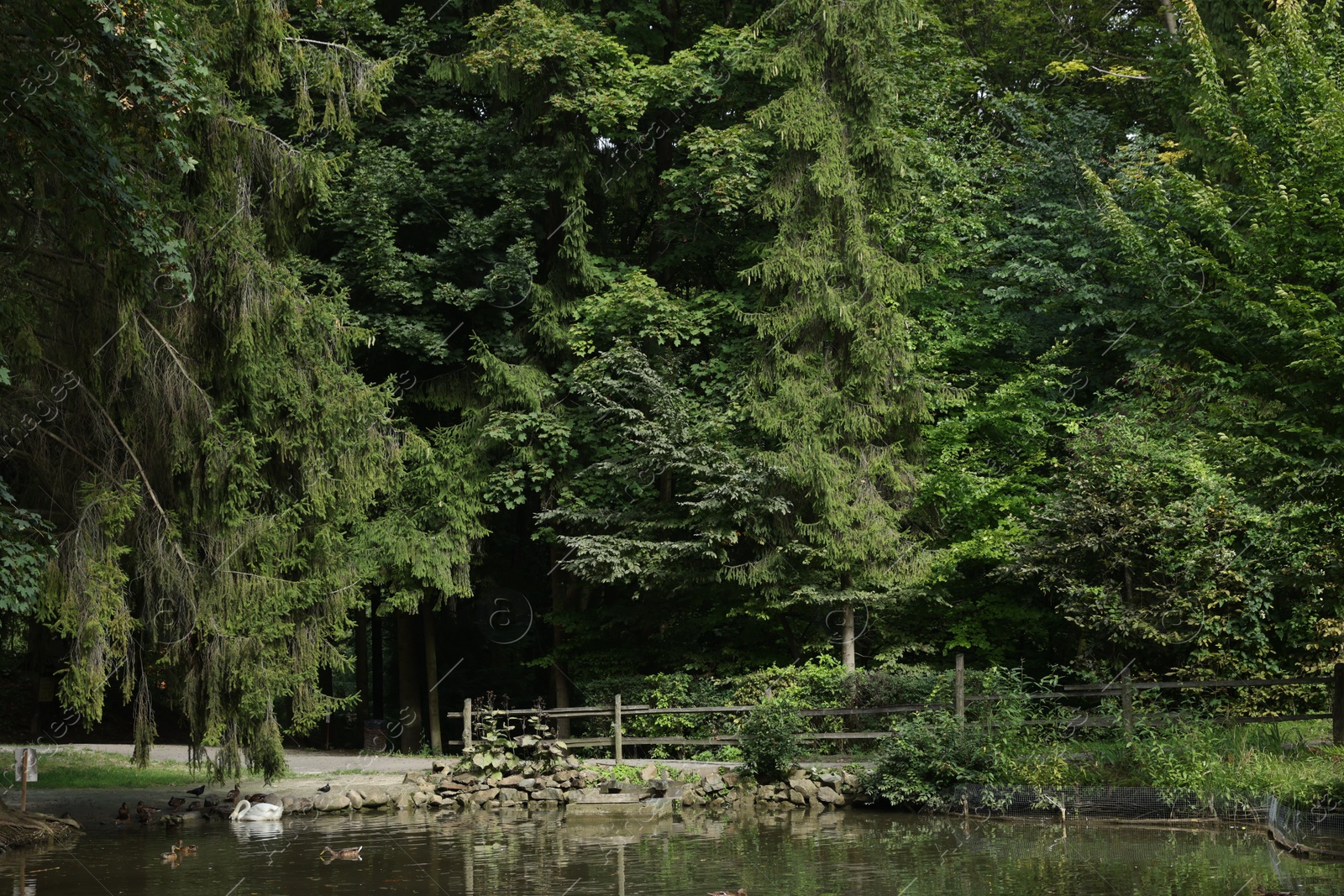 Photo of Picturesque view of park with lake on summer day