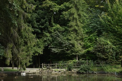 Picturesque view of park with lake on summer day