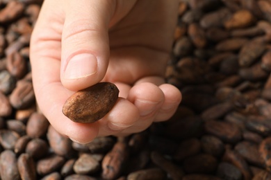 Photo of Woman holding cocoa bean, closeup of hand