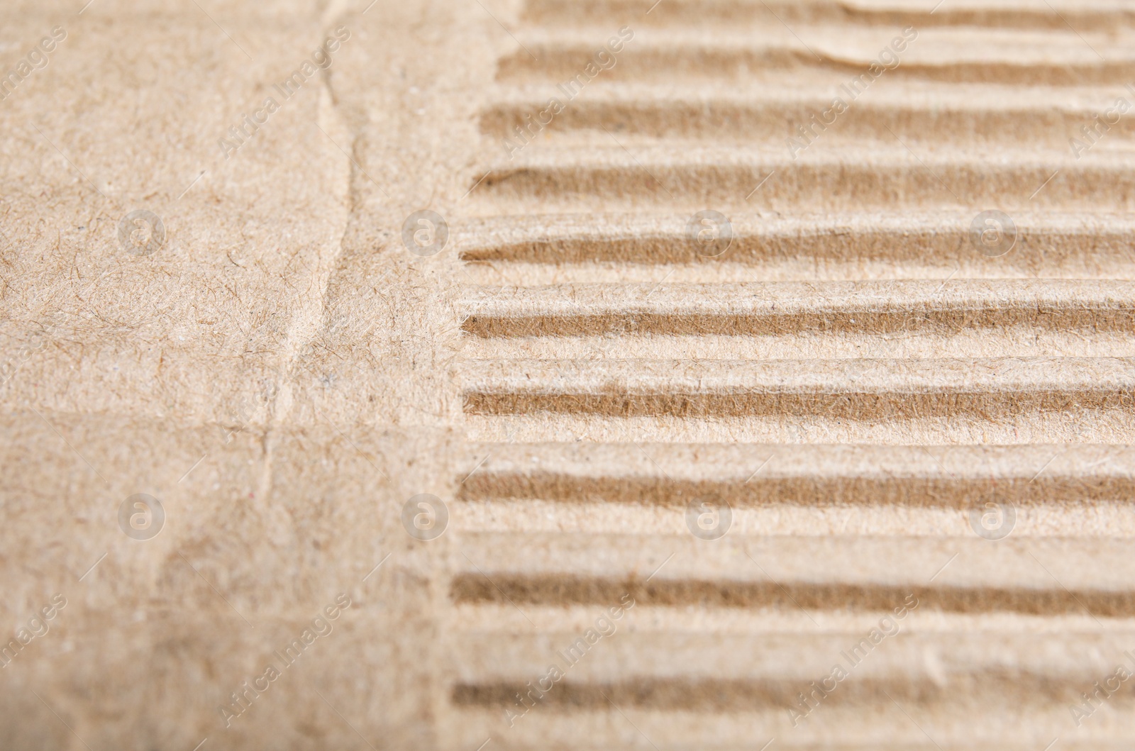 Photo of Torn sheet of cardboard as background, closeup