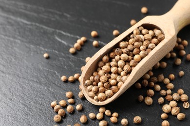 Photo of Scoop with dried coriander seeds on dark gray textured table, closeup