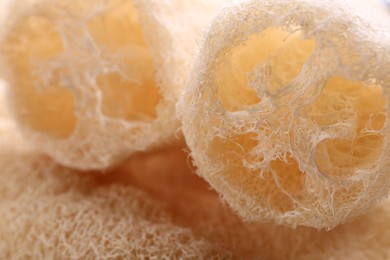 Photo of Natural loofah sponges as background, closeup view