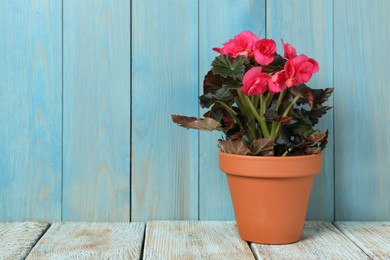 Beautiful blooming pelargonium flower in pot on white wooden table, space for text