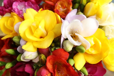 Photo of Beautiful bright spring freesia flowers as background