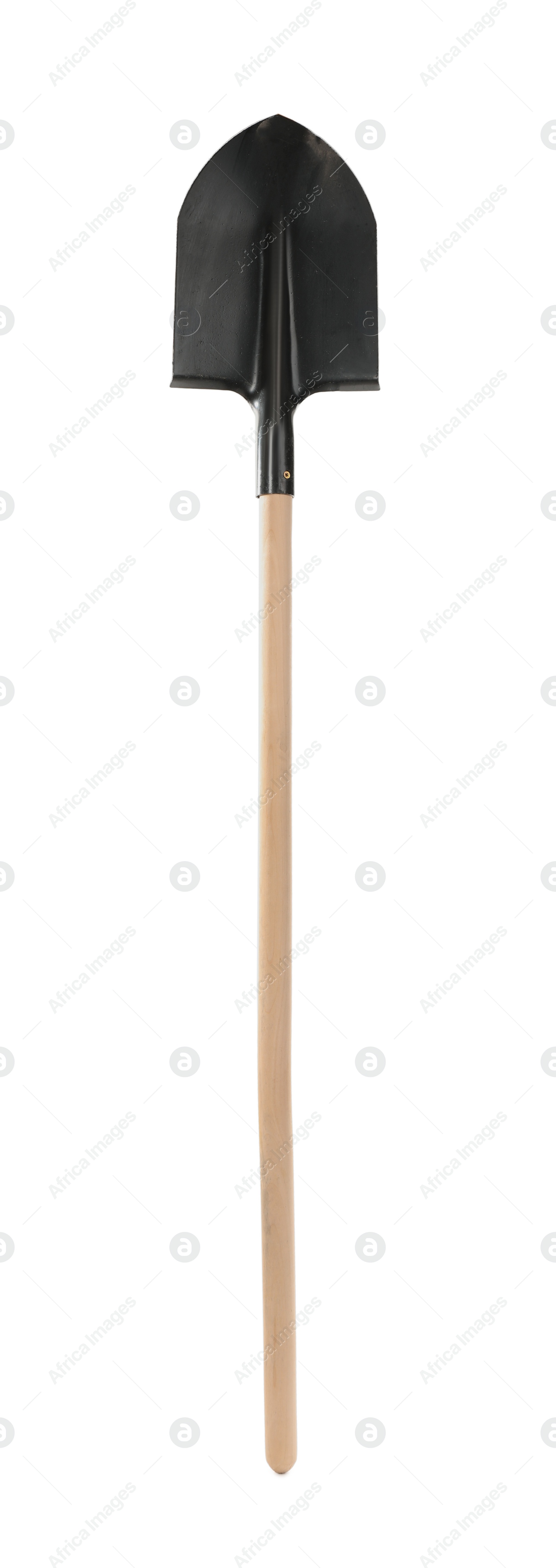 Photo of Modern shovel isolated on white. Gardening tool