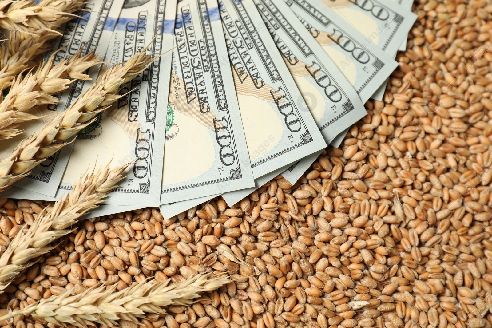 Photo of Dollar banknotes and wheat ears on grains, closeup. Agricultural business