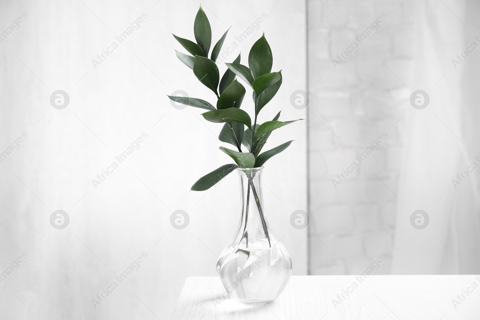 Photo of Glass vase with green branches on white table indoors