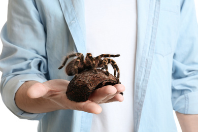 Photo of Man holding hairy striped knee tarantula, closeup
