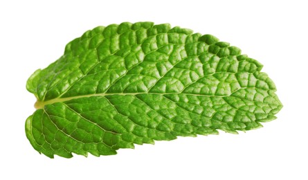 Photo of Fresh green mint leaf isolated on white