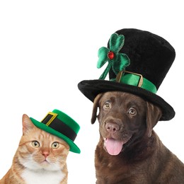 St. Patrick's day celebration. Cute dog and cat in leprechaun hats on white background