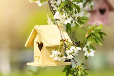 Photo of Bird houses hanging outdoors, focus on yellow one