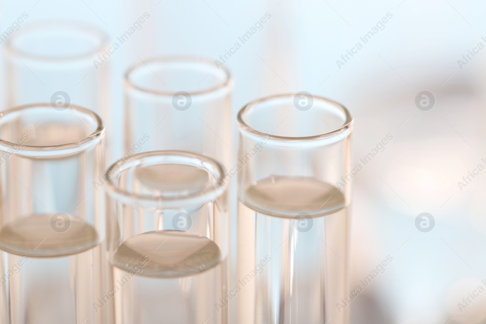 Photo of Laboratory analysis. Many glass test tubes on blurred background, closeup