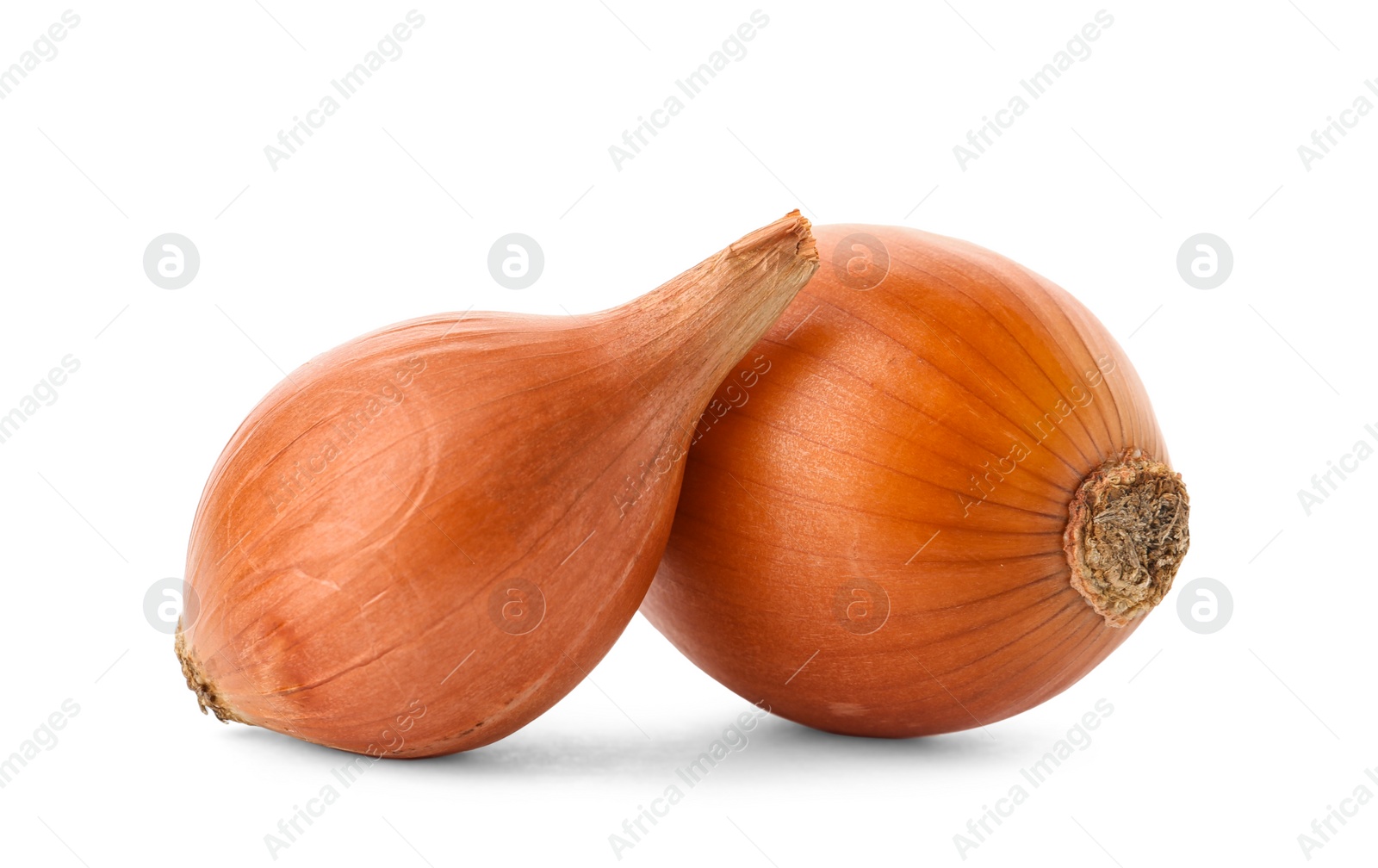 Photo of Fresh ripe onions on white background