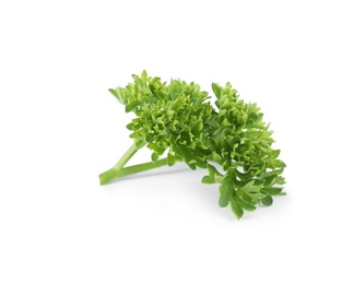 Photo of Fresh green organic parsley on white background