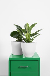 Photo of Different houseplants in pots on green chest of drawers near white wall, space for text