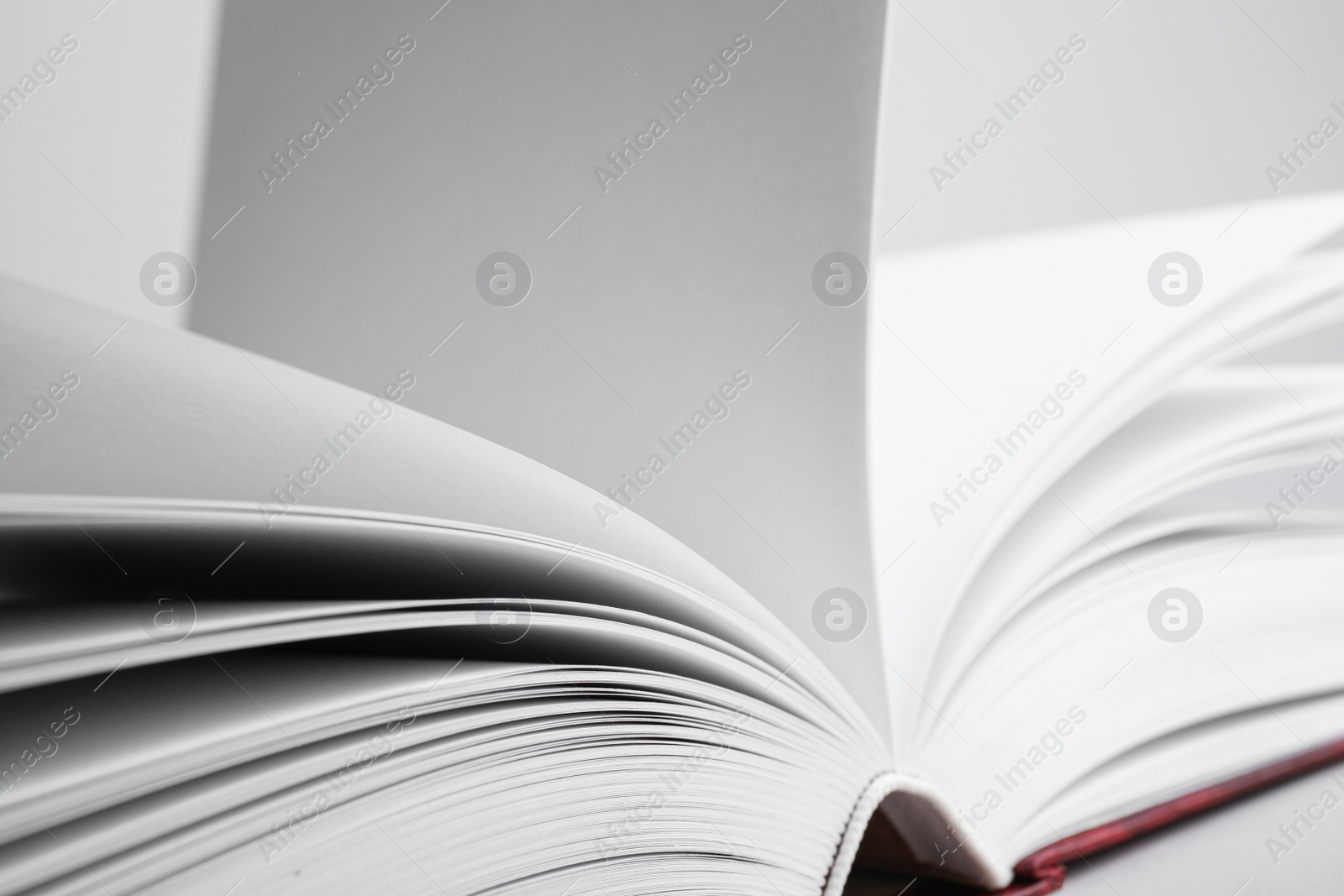 Photo of Closeup view of open book on light background