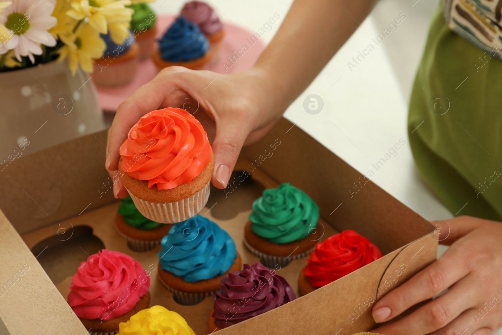 Photo of Woman packing box of delicious colorful cupcakes at table, closeup