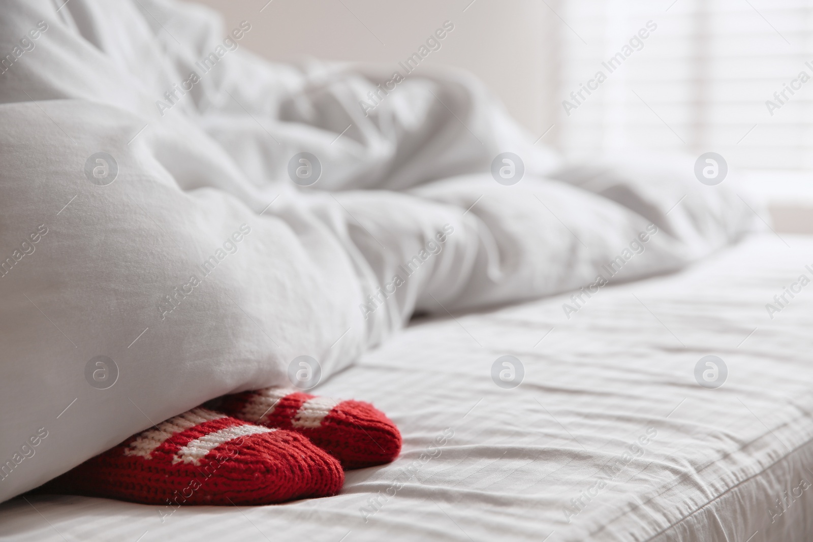 Photo of Woman wearing knitted socks under blanket in bedroom, closeup. Space for text