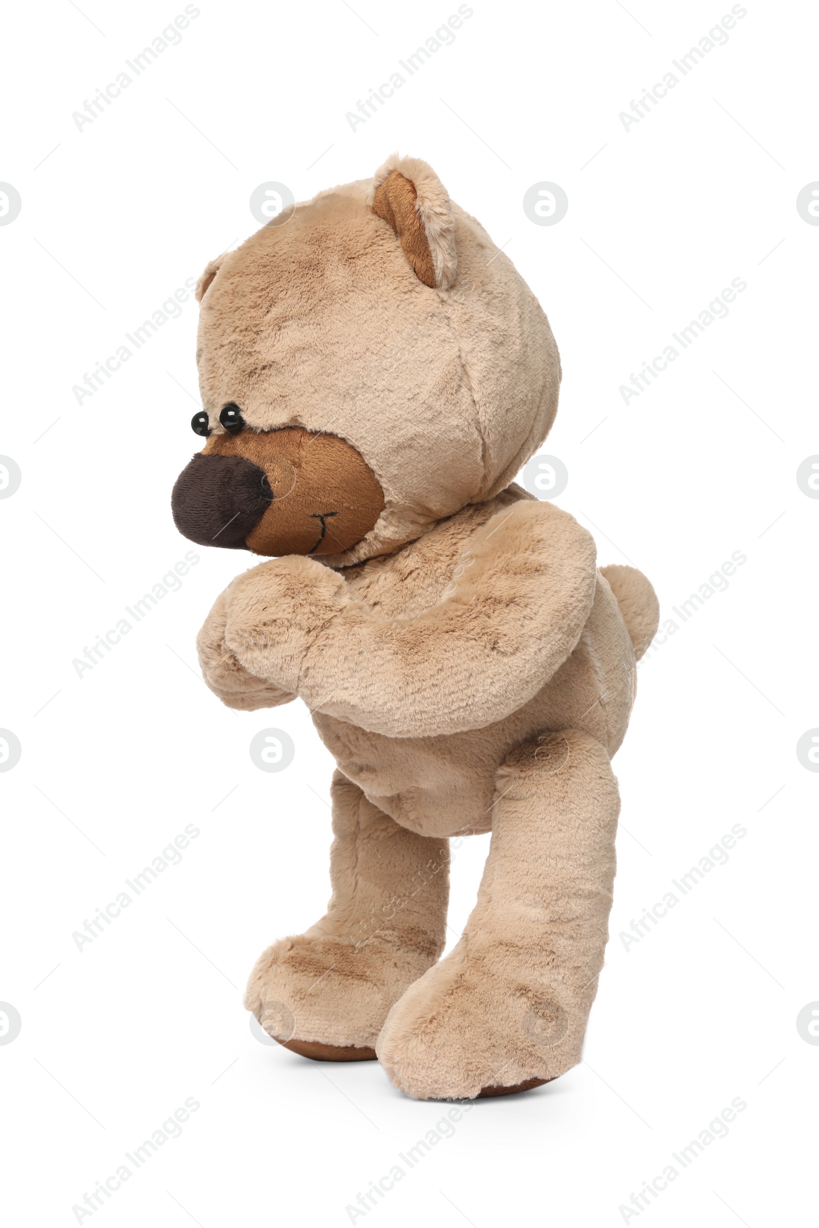 Photo of Cute teddy bear isolated on white. Child`s toy