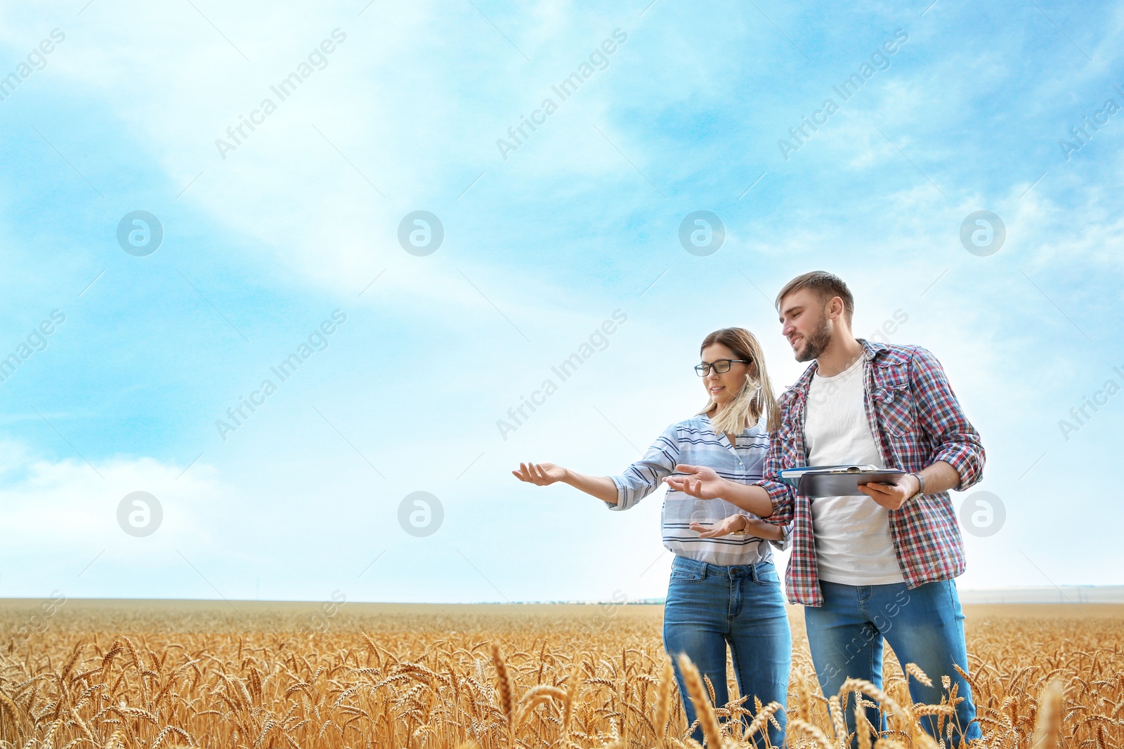 Photo of Young agronomists in grain field. Cereal farming