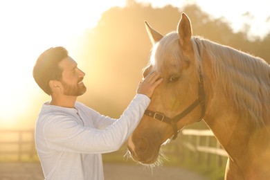 Photo of Handsome man with adorable horse outdoors on sunny day. Lovely domesticated pet
