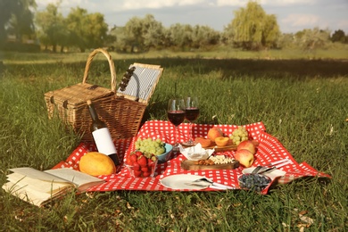 Picnic blanket with delicious food and wine in park