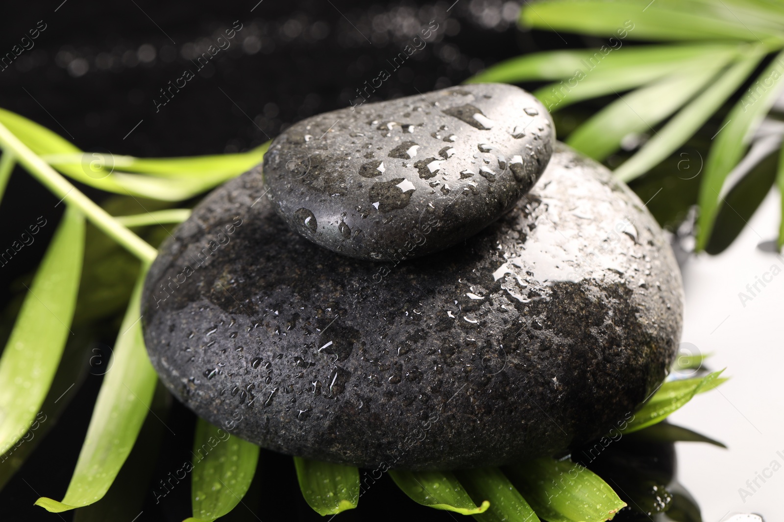 Photo of Wet spa stones and palm leaves in water on light background, closeup