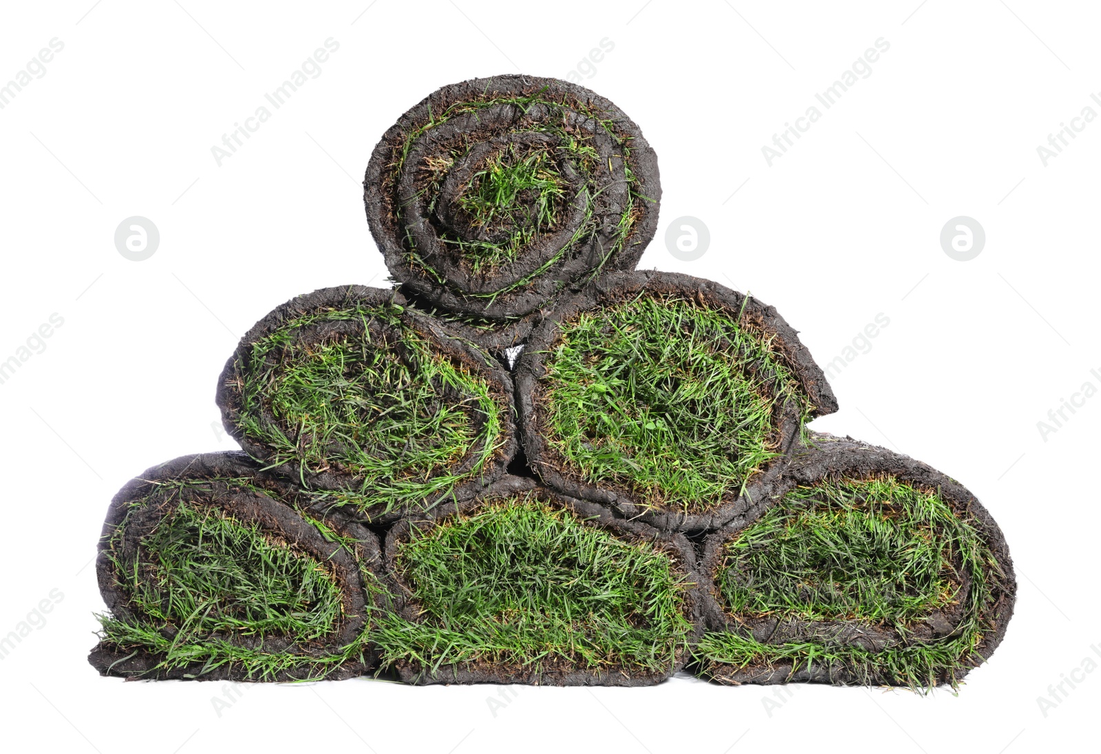 Photo of Rolls of grass sod on white background