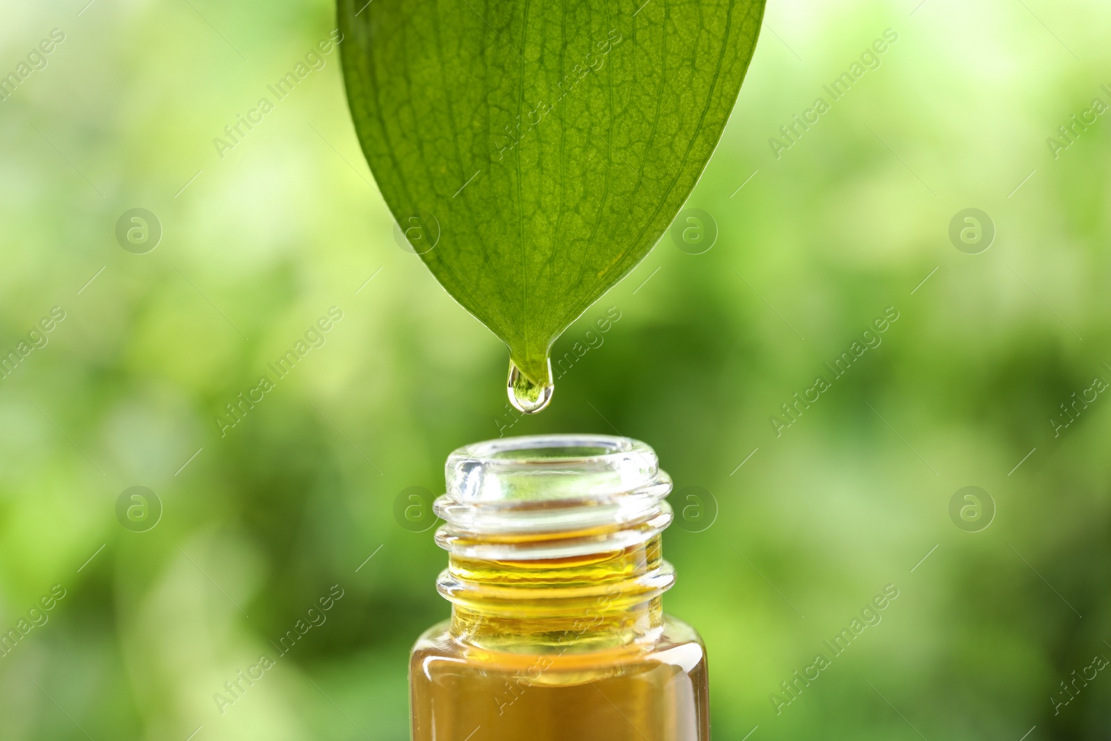 Photo of Essential oil drop falling from leaf into glass bottle against blurred green background, closeup