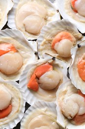 Photo of Fresh raw scallops in shells as background, closeup