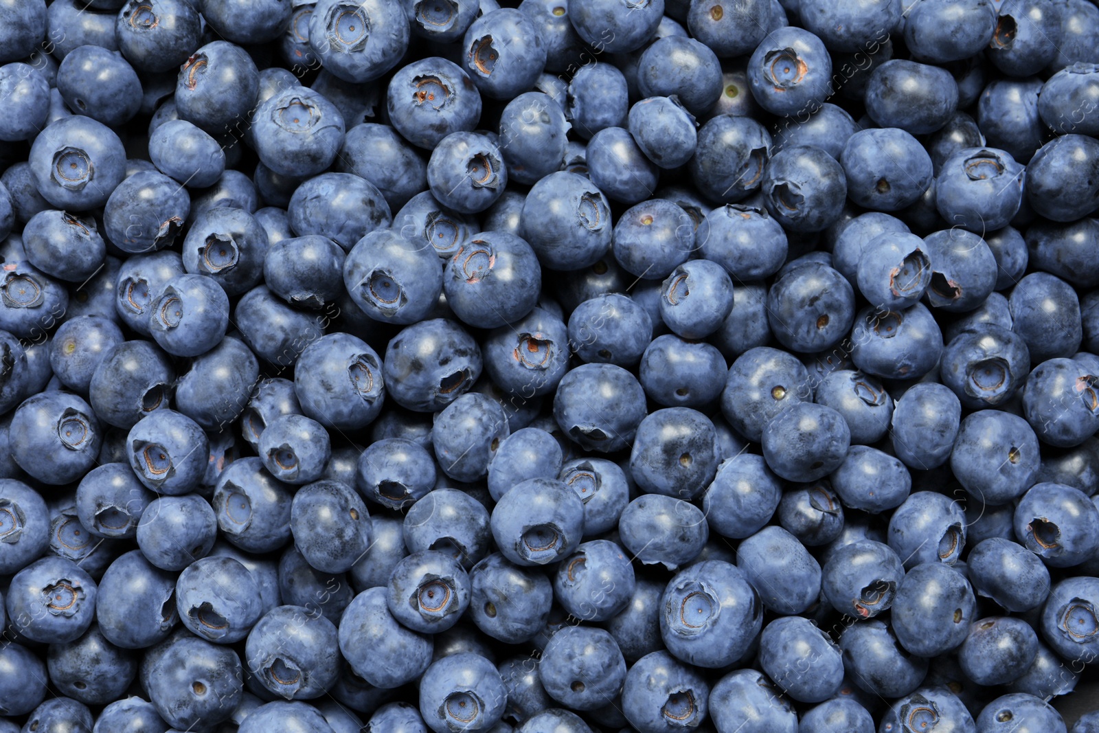 Photo of Tasty fresh blueberries as background, top view