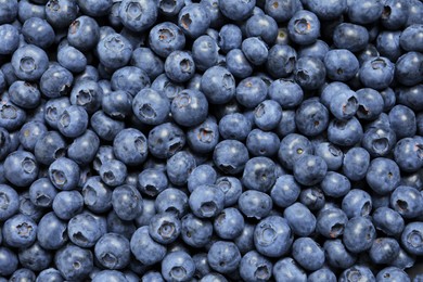 Tasty fresh blueberries as background, top view