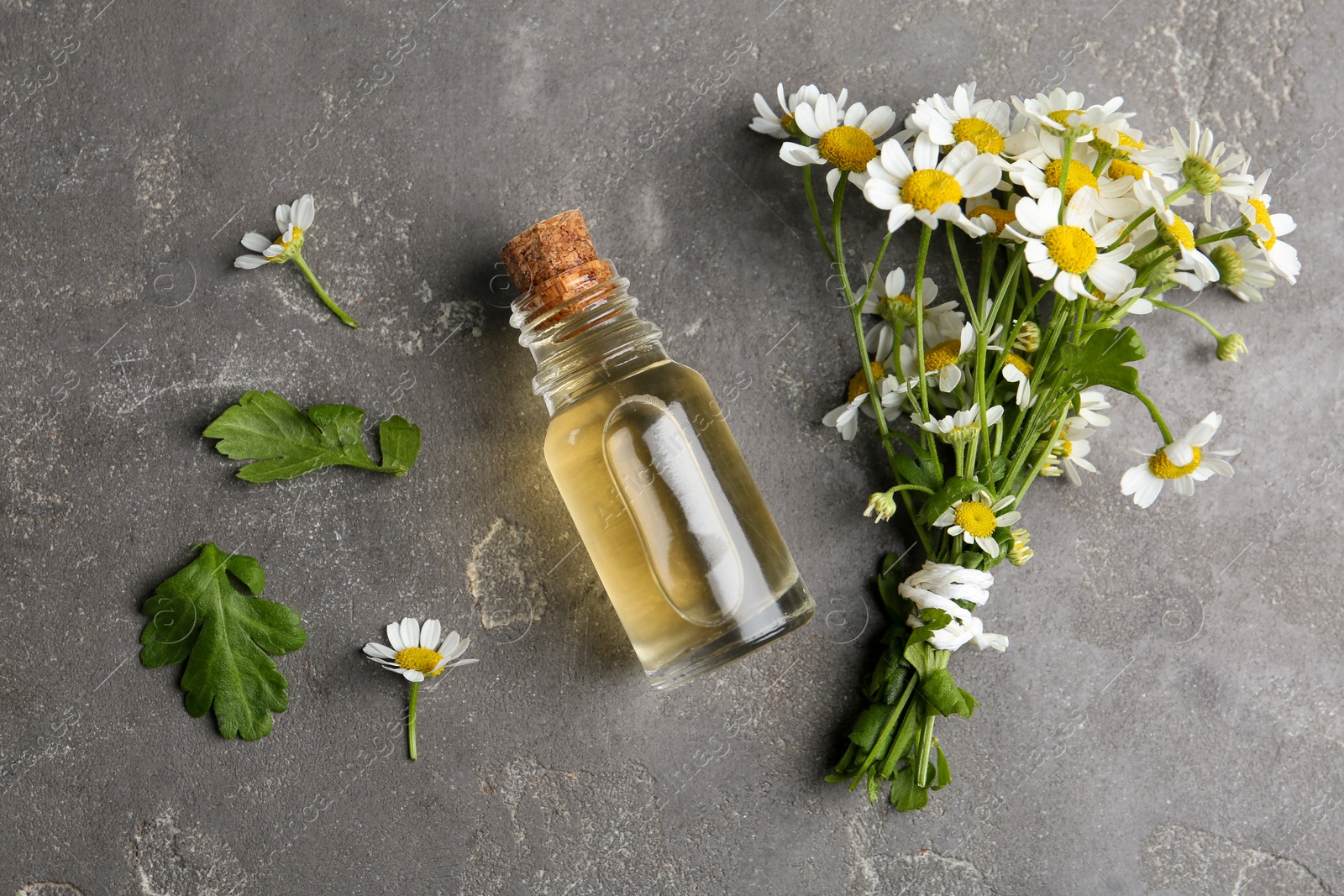 Photo of Bottle of essential oil and fresh chamomiles on grey stone table, flat lay