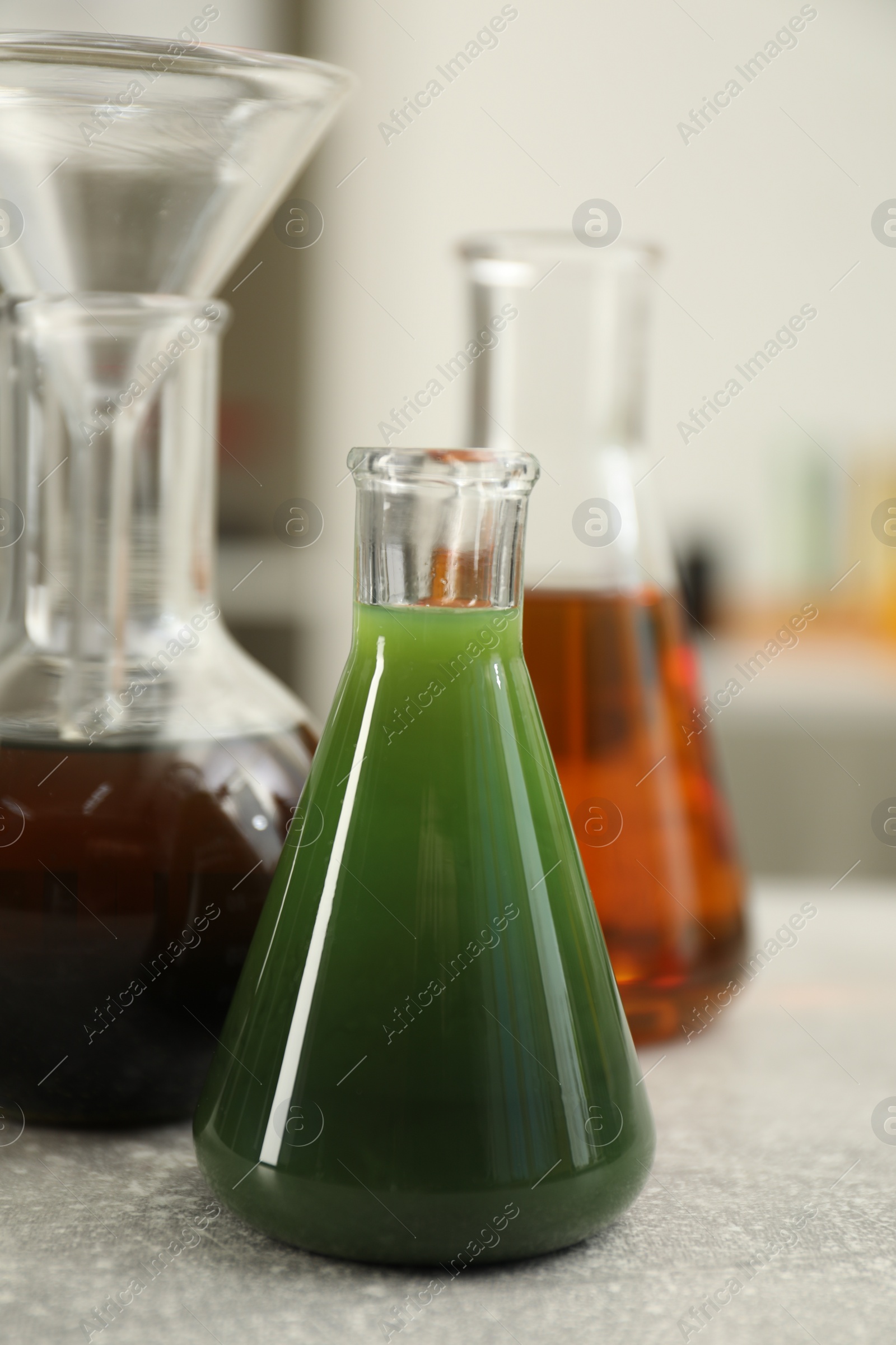 Photo of Laboratory glassware with different types of crude oil on light grey table