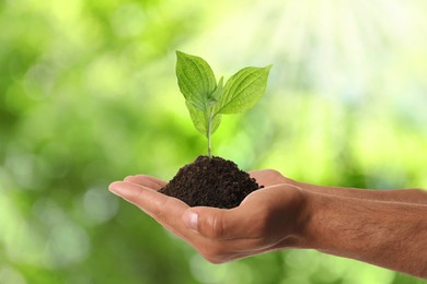 Image of Man holding small plant in soil on blurred background, closeup. Ecology protection