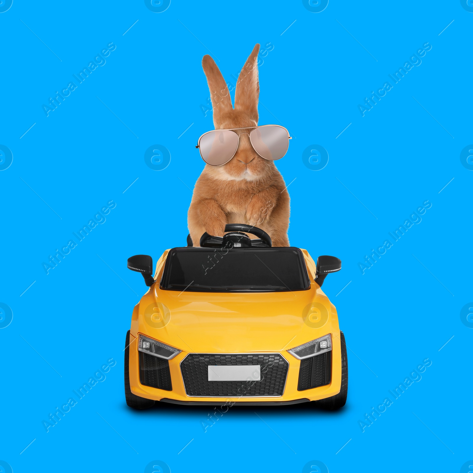 Image of Adorable bunny with stylish sunglasses in toy car on light blue background
