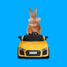 Image of Adorable bunny with stylish sunglasses in toy car on light blue background